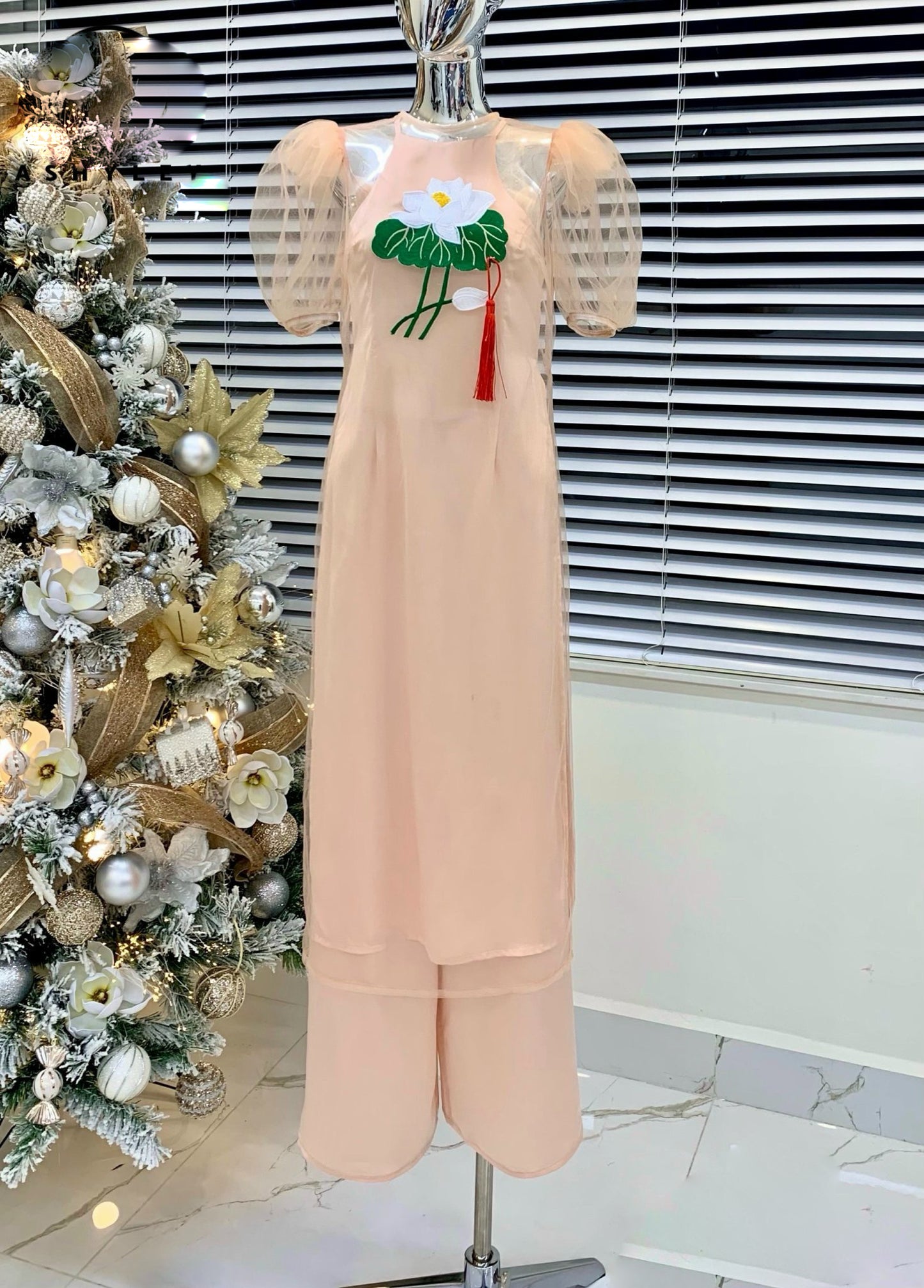 Vietnamese Modern Style Ao Dai