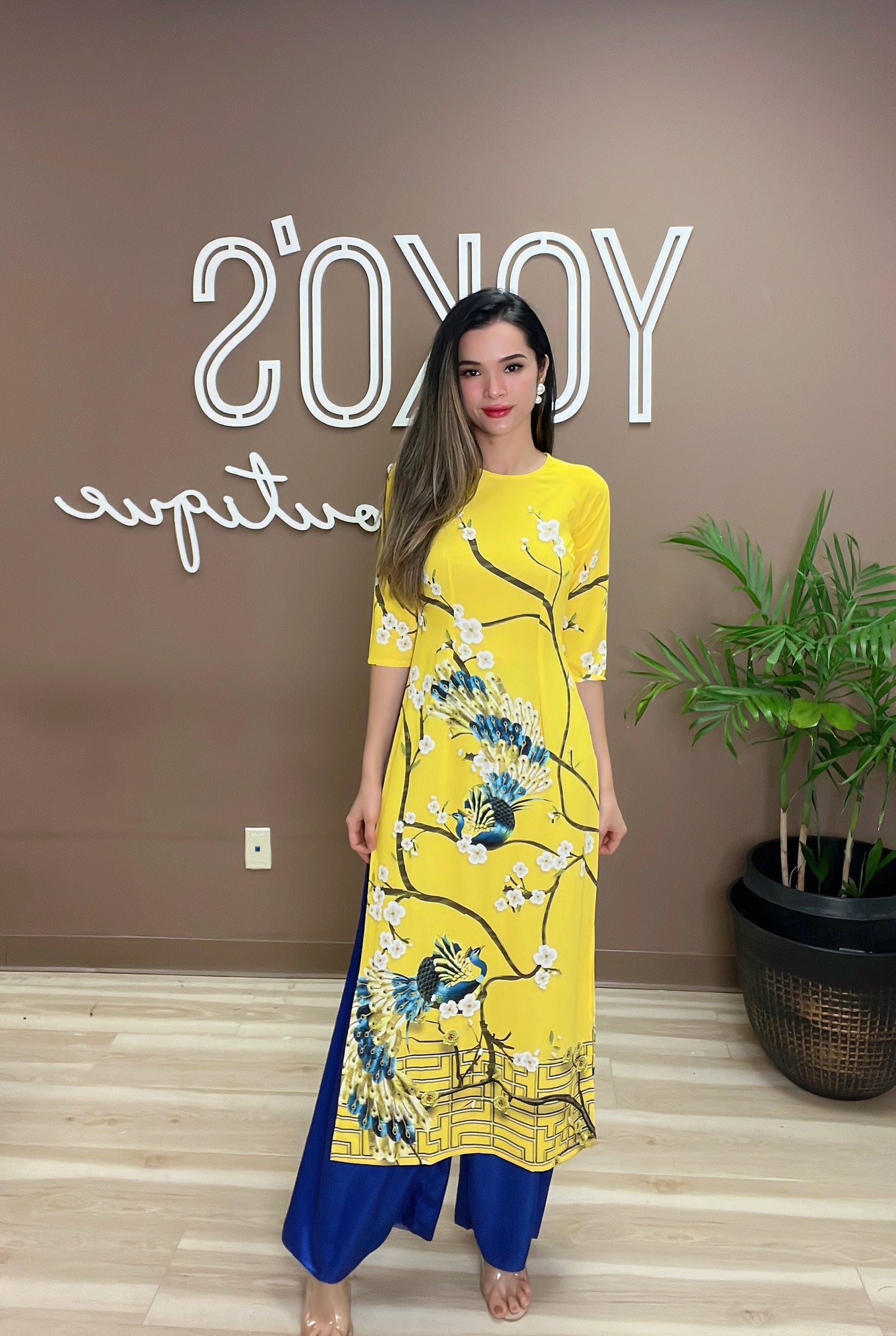 Vietnamese Traditional Ao Dai