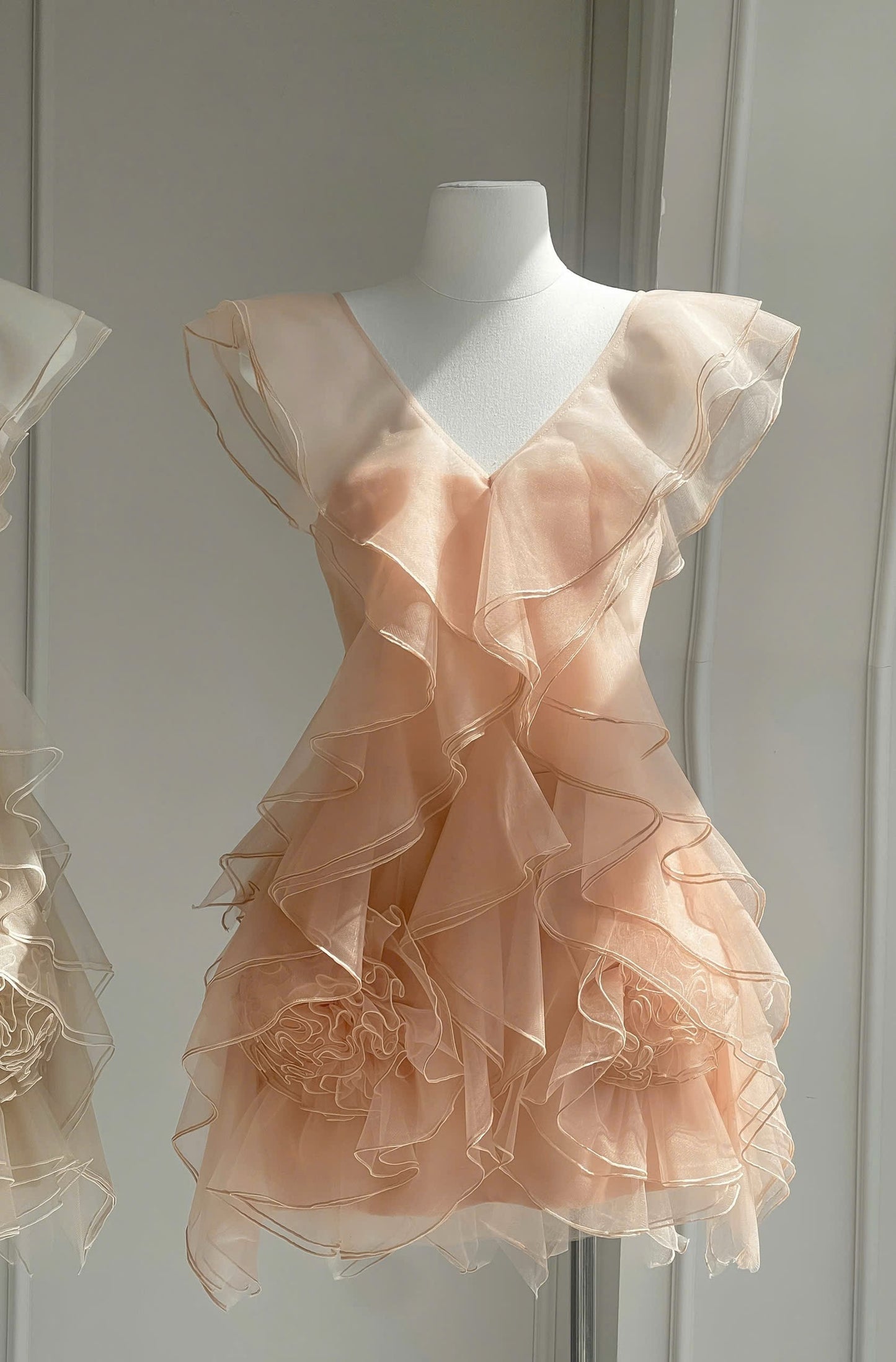 Sheer Chiffon Ruffle Dress