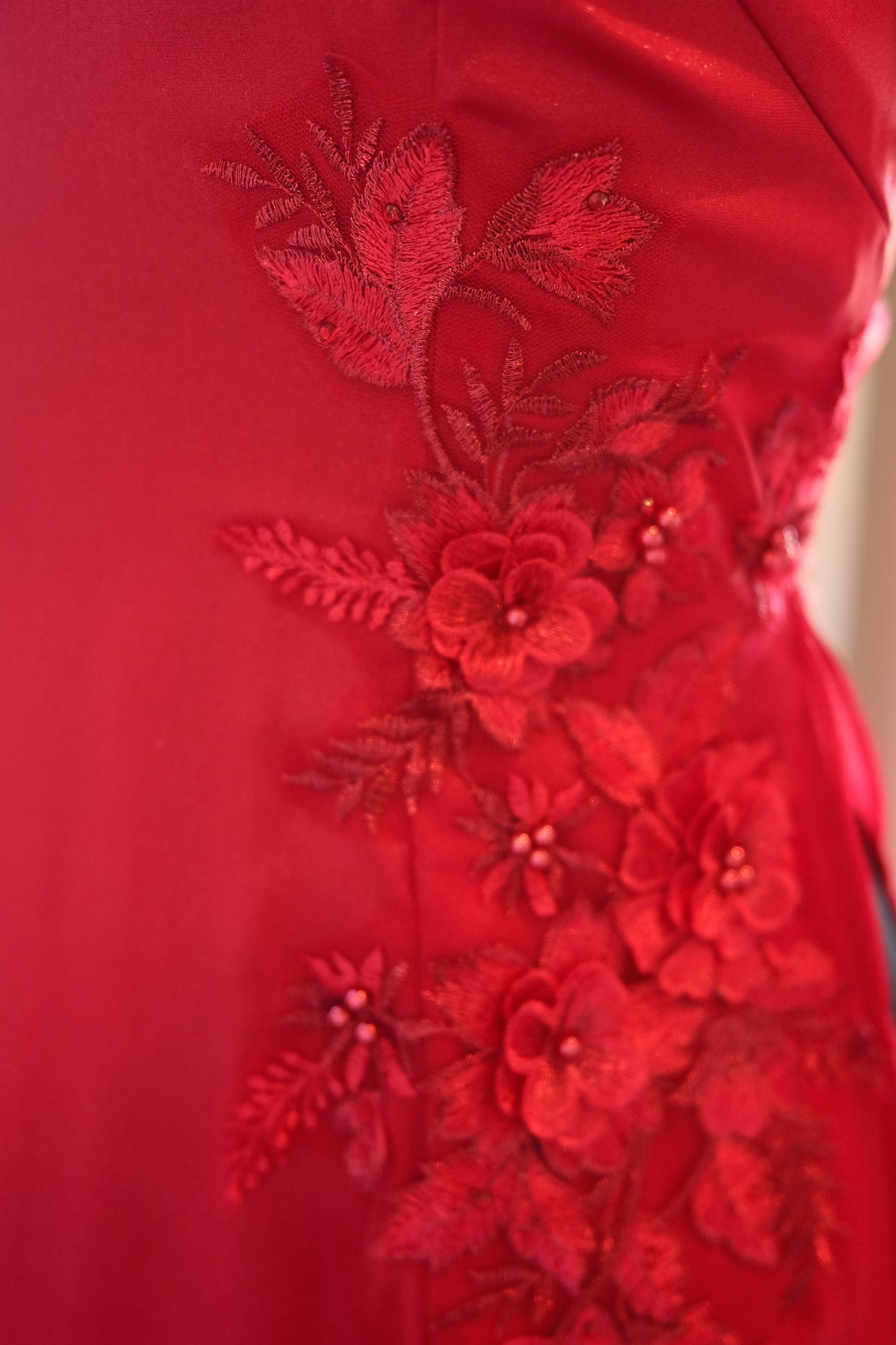 Vietnamese Traditional Ao Dai