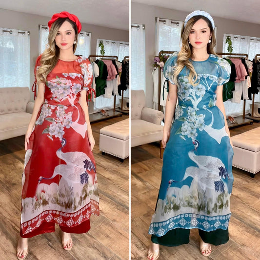 Vietnamese Modern Style Ao Dai