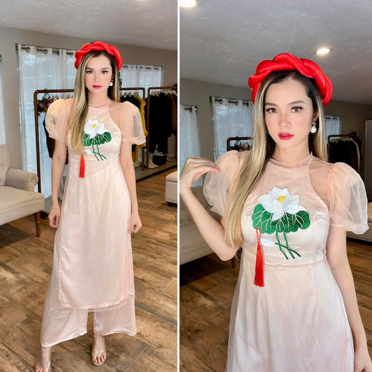 Vietnamese Modern Style Ao Dai
